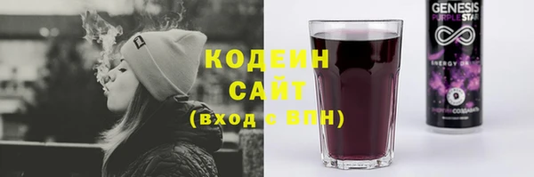 индика Лагань