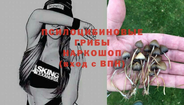 героин Алексин