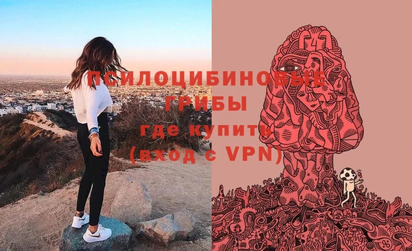 дживик Алексеевка