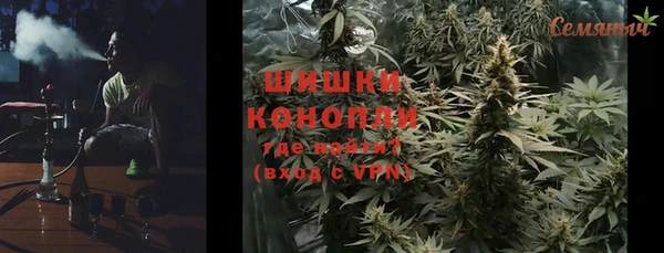индика Лагань