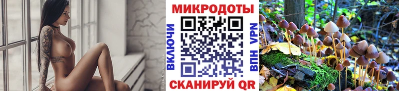 Галлюциногенные грибы мицелий mega ССЫЛКА Неман
